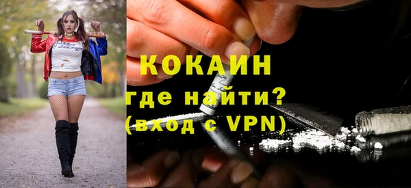 шишки Богданович