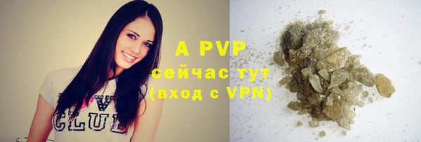 стафф Богородицк