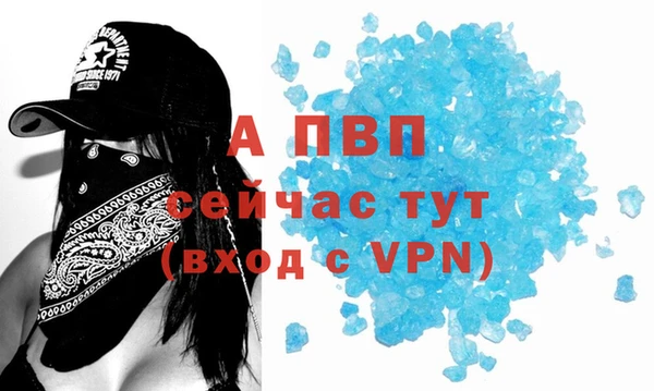 стаф Богородск