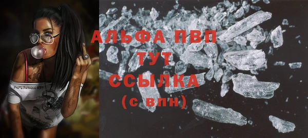 гашик Белокуриха