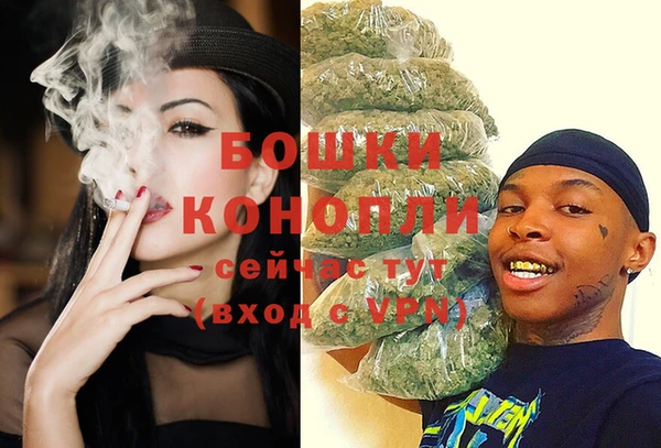 шишки Богданович