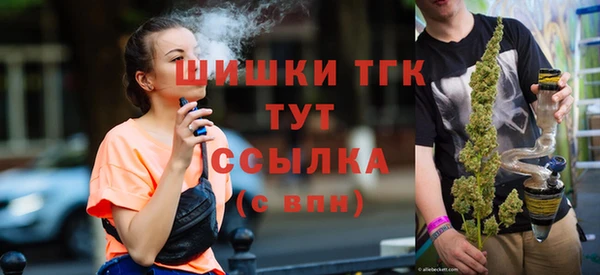 стаф Богородск