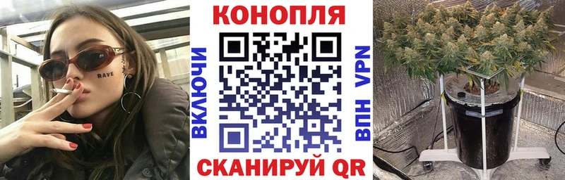 Бошки марихуана индика  МЕГА tor  Свободный  наркошоп 